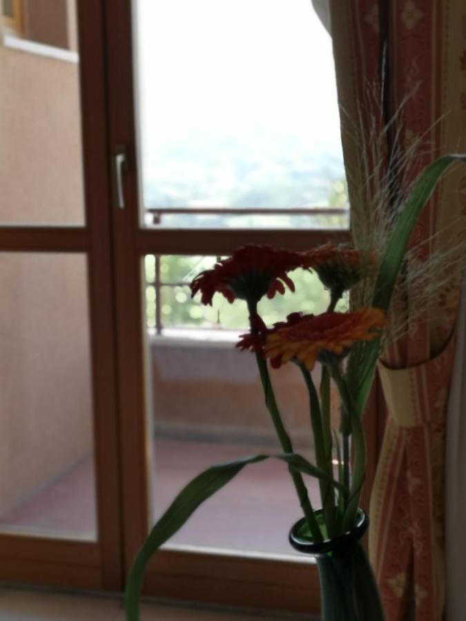 Balcone Sul Metauro Hotel